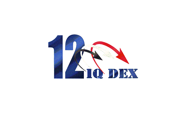 2024年伊拉克国际防务与军警展览会IQDEX 4