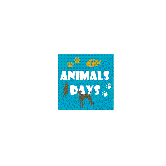 2024年波兰华沙宠物用品展览会Animals` Days 4