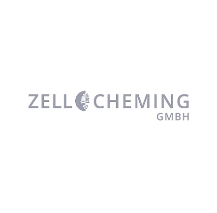 2024年德国纸浆及造纸工业展览会ZELLCHEMING Expo 4